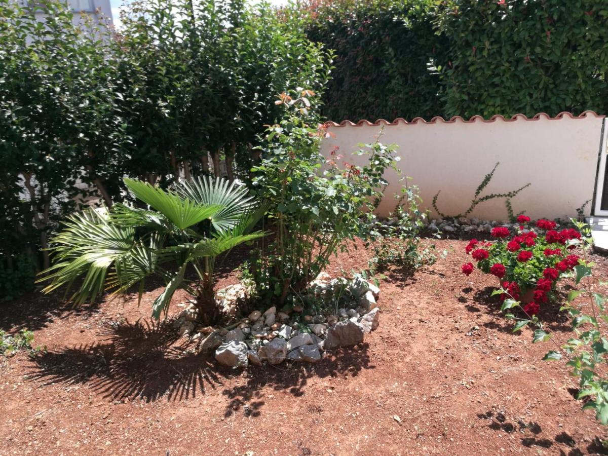 Ferienhaus Bozena Appartment 4 Vrsar Bagian luar foto