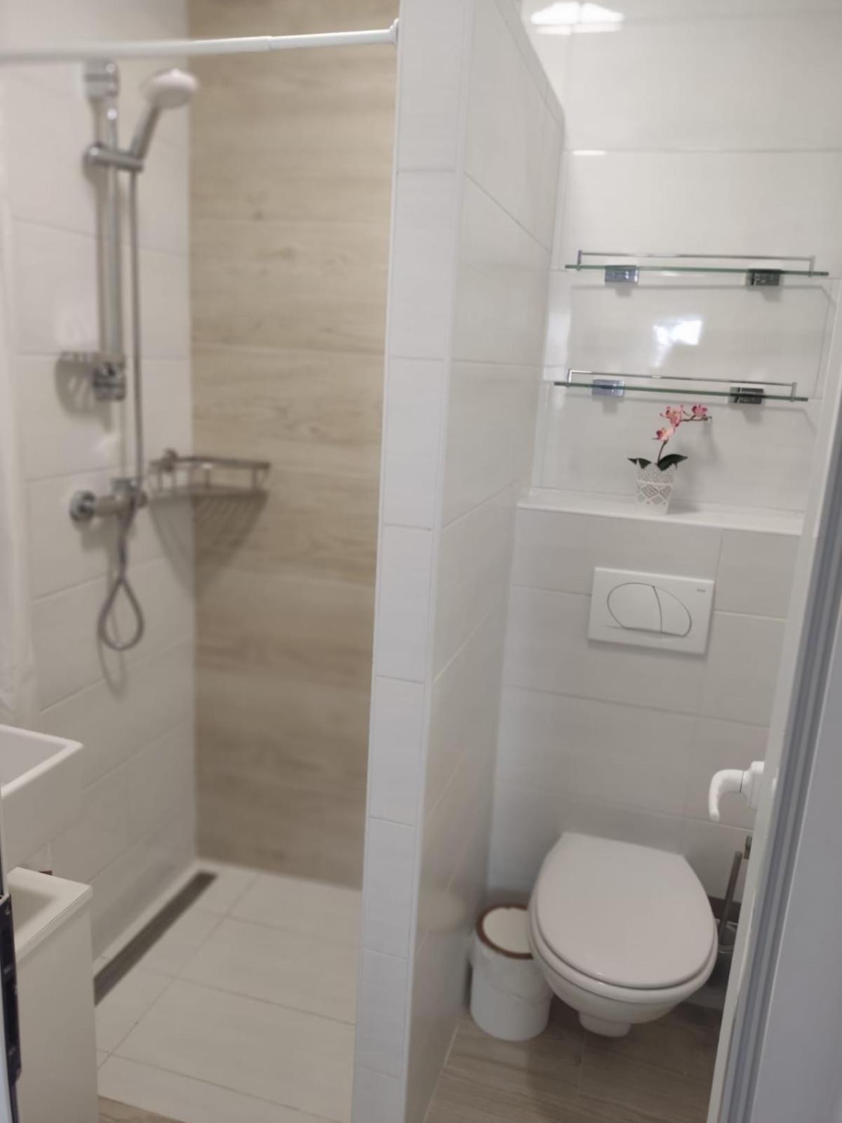 Ferienhaus Bozena Appartment 4 Vrsar Bagian luar foto